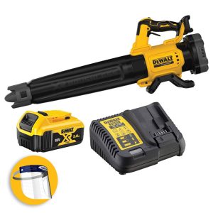 DEWALT DCMBL562P1-QW - SOFFIATORE SOFFIA FOGLIE A BATTERIA 18V, 1 X 5AH