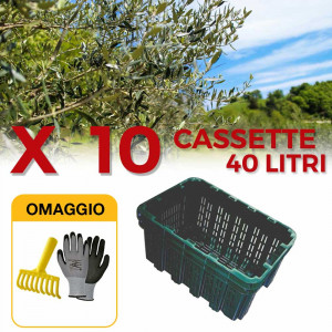 10 Casse agricola tutta forata sovrapponibile e inseribile - cassetta per olive